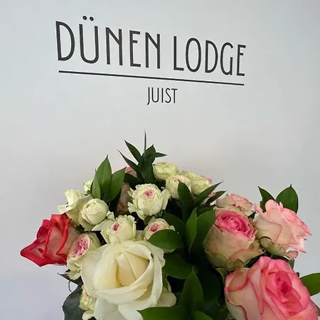 Apartman Duenen 3 Juist